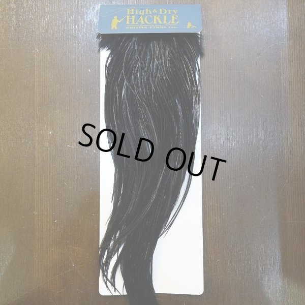 画像1: 【WHITING】High & Dry ROOSTER SADDLE - BLACK No.5 #16 (1)