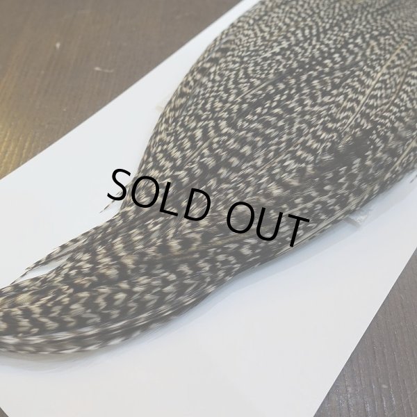 画像5: 【WHITING】High & Dry ROOSTER Cape - Grizzly Variant No.2 (5)