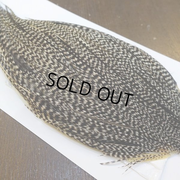 画像4: 【WHITING】High & Dry ROOSTER Cape - Grizzly Variant No.2 (4)