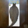 画像1: 【WHITING】High & Dry ROOSTER Cape - Grizzly No.3 (1)