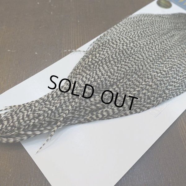 画像5: 【WHITING】High & Dry ROOSTER Cape - Grizzly No.2 (5)