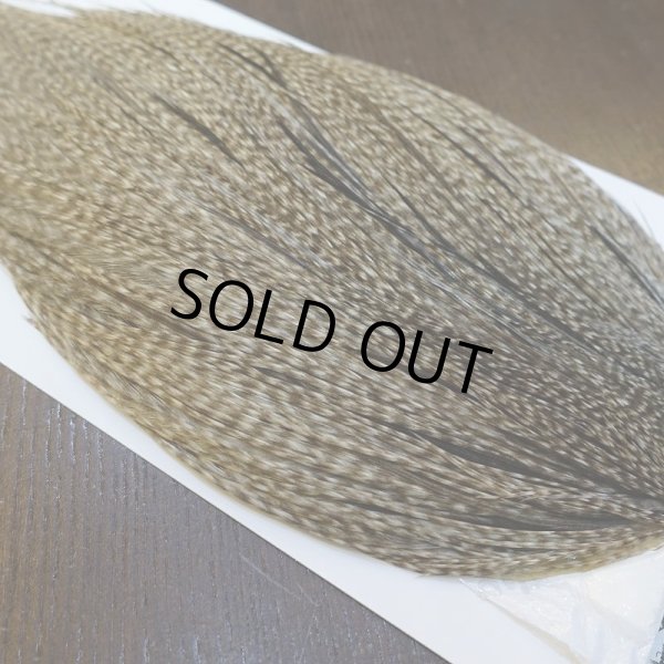 画像4: 【WHITING】Hebert ROOSTER CAPE Silver grade - DUN GRIZZLY No.1 (4)