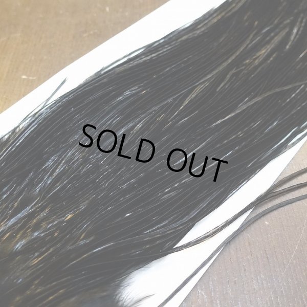 画像3: 【WHITING】High & Dry ROOSTER SADDLE - BLACK No.2 #16 (3)