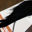 画像5: 【Whiting】ROOSTER CAPE Bronze Grade - DYED BLACK No.1 (5)