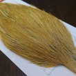 画像4: 【WHITING】ROOSTER Cape Pro Grade - Light Ginger No.1 (4)