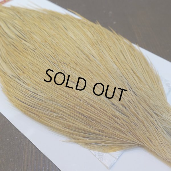 画像4: 【WHITING】ROOSTER Cape Pro Grade - Light Ginger No.1 (4)