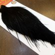 画像2: 【Whiting】ROOSTER CAPE Bronze Grade - DYED BLACK No.1 (2)