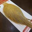 画像2: 【WHITING】ROOSTER Cape Pro Grade - Light Ginger No.1 (2)