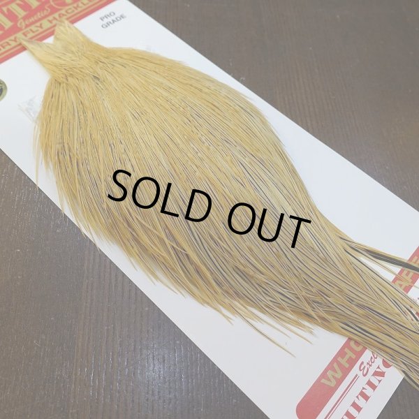 画像2: 【WHITING】ROOSTER Cape Pro Grade - Light Ginger No.1 (2)