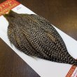 画像2: 【WHITING】ROOSTER Cape Pro Grade - Grizzly Variant No.1 (2)