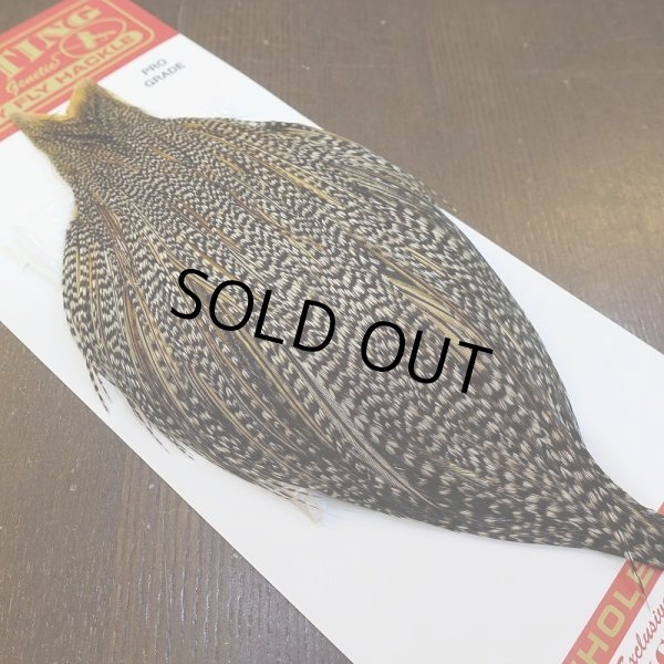 画像2: 【WHITING】ROOSTER Cape Pro Grade - Grizzly Variant No.1 (2)