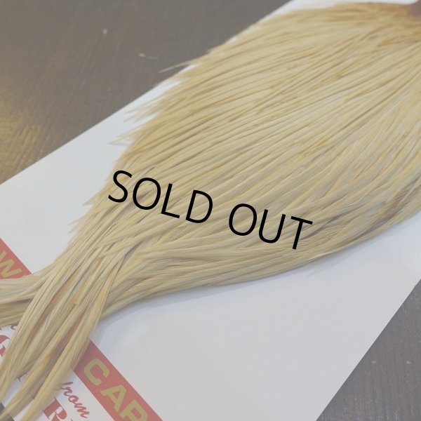 画像5: 【WHITING】ROOSTER Cape Pro Grade - Light Ginger No.2 (5)