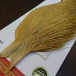 画像3: 【WHITING】ROOSTER Cape Pro Grade - Light Ginger No.1 (3)