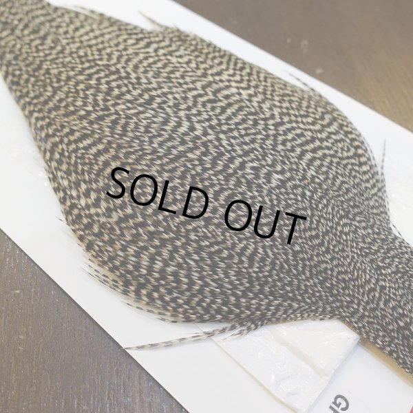 画像4: 【WHITING】ROOSTER Cape Pro Grade - Grizzly No.1 (4)