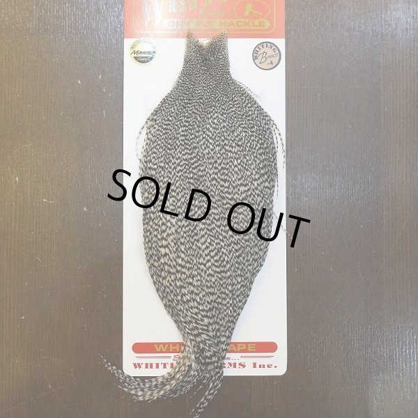 画像1: 【WHITING】ROOSTER CAPE Bronze Grade - Grizzly No.1 (1)