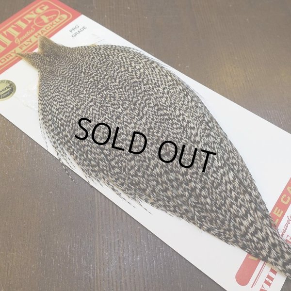 画像2: 【WHITING】ROOSTER Cape Pro Grade - Grizzly No.2 (2)