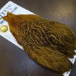 画像2: 【Whiting】BRAHMA HEN CAPE BADGER/MARCHBROWN (2)