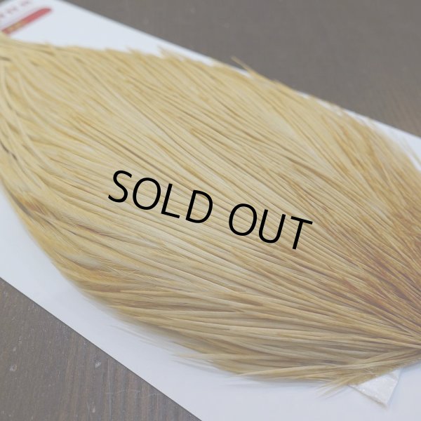 画像4: 【WHITING】ROOSTER Cape Pro Grade - Light Ginger No.2 (4)