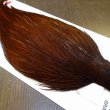 画像4: 【WHITING】ROOSTER Cape Pro Grade - DYED COACHMAN BROWN No.3 (4)