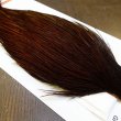 画像4: 【WHITING】ROOSTER Cape Pro Grade - DYED COACHMAN BROWN No.1 (4)