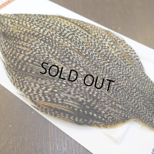 画像4: 【WHITING】ROOSTER Cape Pro Grade - Grizzly Variant No.1 (4)