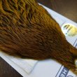 画像4: 【Whiting】BRAHMA HEN CAPE BADGER/MARCHBROWN (4)