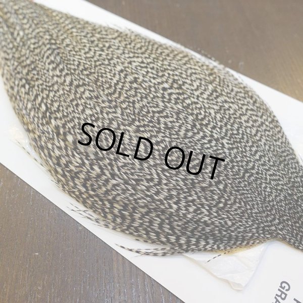 画像4: 【WHITING】ROOSTER Cape Pro Grade - Grizzly No.2 (4)