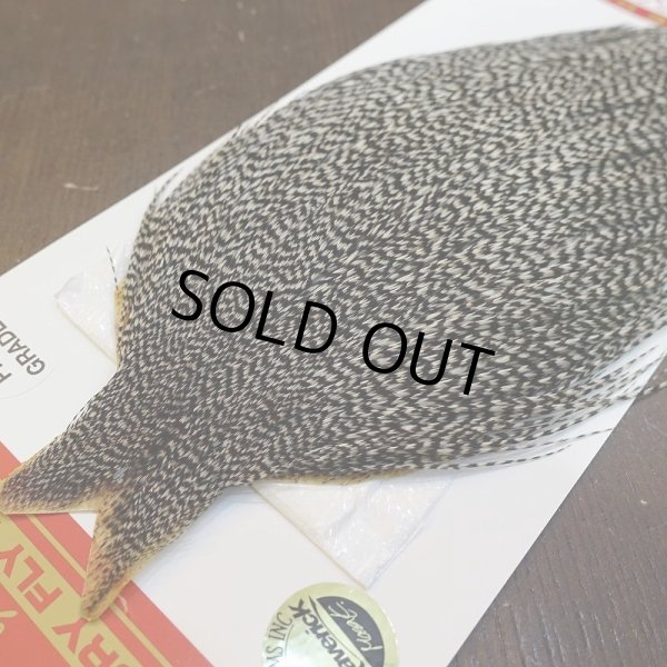 画像3: 【WHITING】ROOSTER Cape Pro Grade - Grizzly No.2 (3)