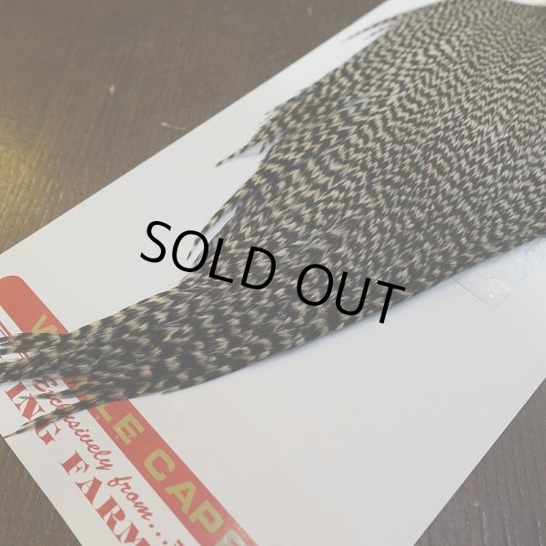 画像5: 【WHITING】ROOSTER Cape Pro Grade - Grizzly No.1 (5)