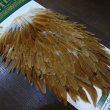 画像2: 【Whiting】HEBERT Hen Saddle - MEDIUM GINGER (2)