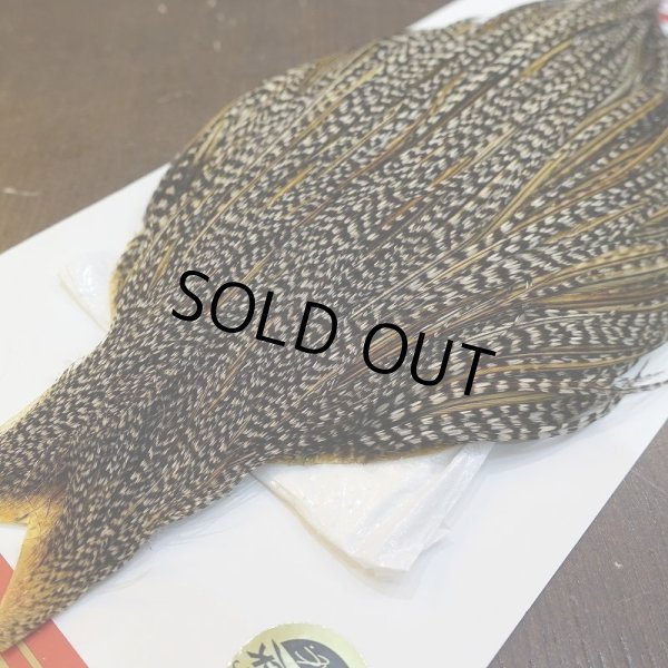 画像3: 【WHITING】ROOSTER Cape Pro Grade - Grizzly Variant No.1 (3)