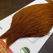 画像3: 【WHITING】ROOSTER Cape Pro Grade - DYED BROWN No.1 (3)