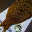 画像3: 【Whiting】BRAHMA HEN CAPE BADGER/MARCHBROWN (3)