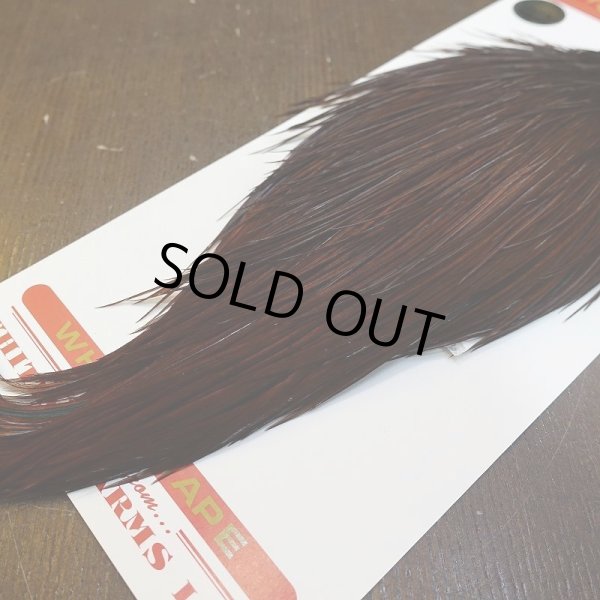 画像5: 【Whiting】ROOSTER CAPE Bronze Grade - DYED COACHMAN BROWN No.1 (5)