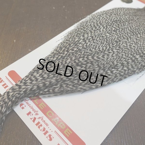 画像5: 【WHITING】ROOSTER Cape Pro Grade - Grizzly No.2 (5)