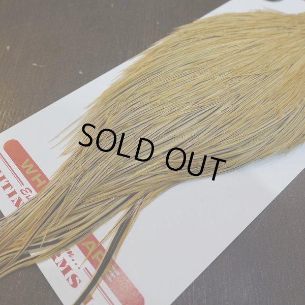 画像5: 【WHITING】ROOSTER Cape Pro Grade - Light Ginger No.1 (5)