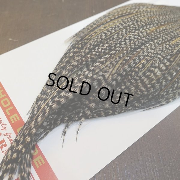 画像5: 【WHITING】ROOSTER Cape Pro Grade - Grizzly Variant No.1 (5)