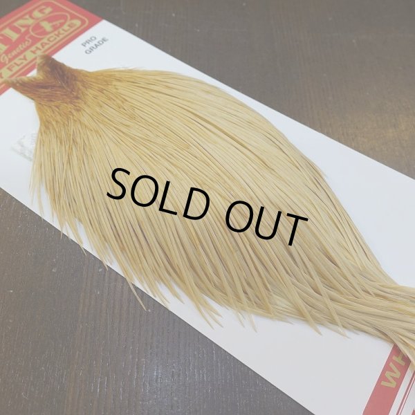 画像2: 【WHITING】ROOSTER Cape Pro Grade - Light Ginger No.2 (2)