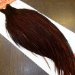 画像2: 【WHITING】ROOSTER Cape Pro Grade - DYED COACHMAN BROWN No.4 (2)