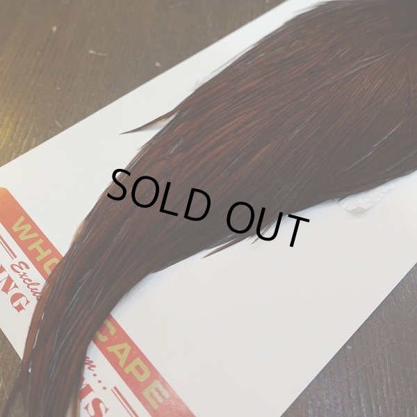 画像5: 【WHITING】ROOSTER Cape Pro Grade - DYED COACHMAN BROWN No.2 (5)