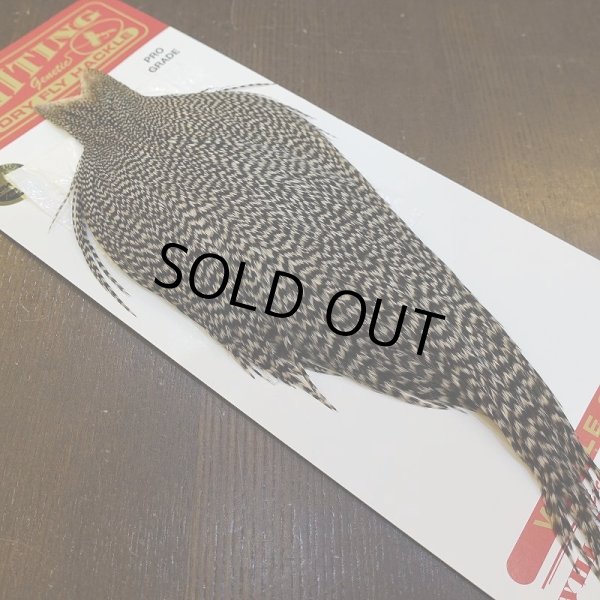 画像2: 【WHITING】ROOSTER Cape Pro Grade - Grizzly No.1 (2)