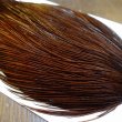 画像4: 【WHITING】ROOSTER Cape Pro Grade - DYED COACHMAN BROWN No.4 (4)