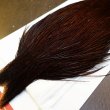 画像3: 【WHITING】ROOSTER Cape Pro Grade - DYED COACHMAN BROWN No.1 (3)