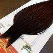 画像3: 【WHITING】ROOSTER Cape Pro Grade - DYED COACHMAN BROWN No.2 (3)