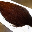 画像4: 【WHITING】ROOSTER Cape Pro Grade - DYED COACHMAN BROWN No.2 (4)