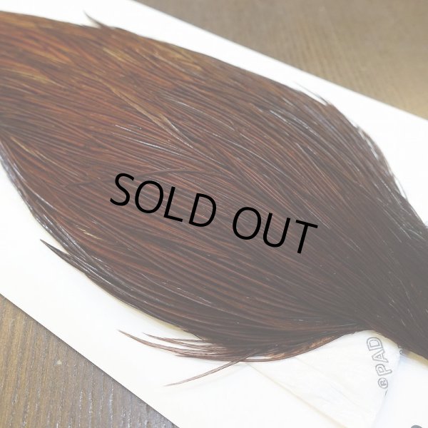 画像4: 【WHITING】ROOSTER Cape Pro Grade - DYED COACHMAN BROWN No.2 (4)