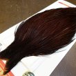 画像3: 【WHITING】ROOSTER Cape Pro Grade - DYED COACHMAN BROWN No.4 (3)