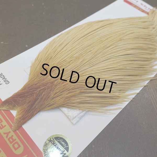 画像3: 【WHITING】ROOSTER Cape Pro Grade - Light Ginger No.2 (3)