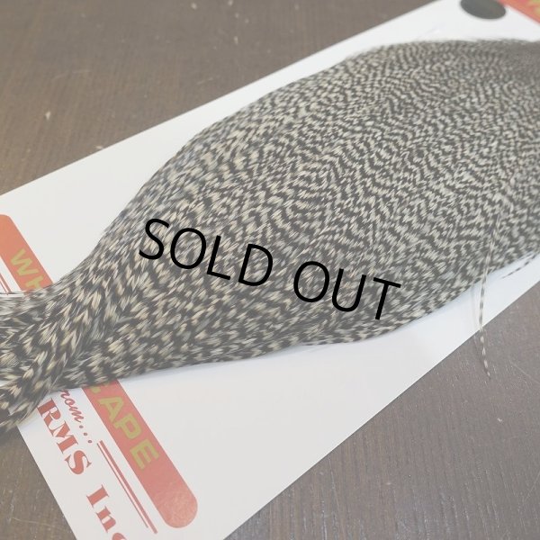 画像5: 【WHITING】ROOSTER CAPE Bronze Grade - Grizzly No.1 (5)