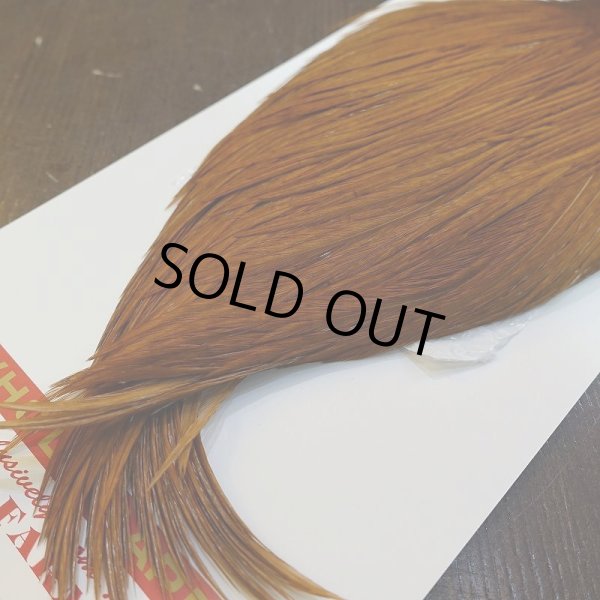 画像5: 【WHITING】ROOSTER Cape Pro Grade - DYED BROWN No.1 (5)